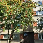 Apartment Apartments Kohtla-Jarve *