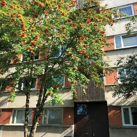 Apartament Apartments Kohtla-Jarve *