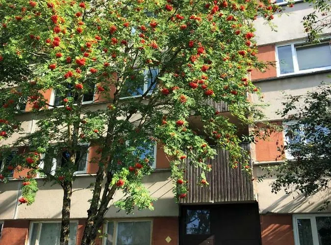 Daire Apartments Kohtla-Jarve *